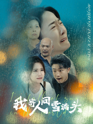 我寄人间雪满头（71集）全集