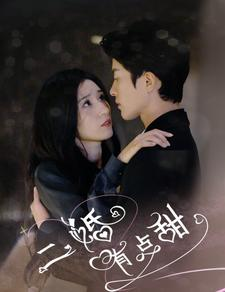 二婚有点甜（88集）爆款热门短剧