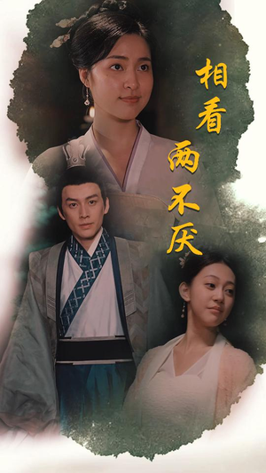 这个王妃不好惹（85集）热门短剧分享