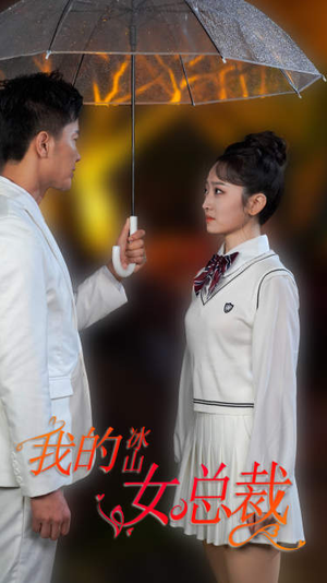 新版：我的冰山女总裁（78集）在线观看完整版