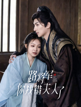 路将军，你找错夫人了（81集）全季一次看完