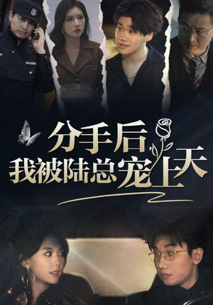 分手后，我被陆总宠上天（76集）真的太好看了