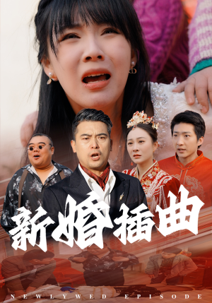 31.新婚插曲（29集）观看软件