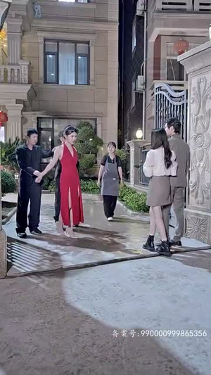 彩礼谈崩后，我转身和千亿首富领证（94集）最新热剧免费看