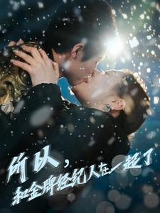 所以和金牌经纪人在一起了（30集）直接看到大结局