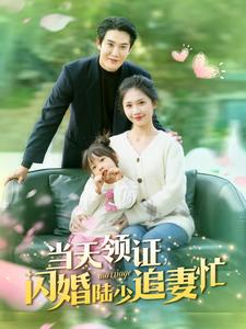 当天领证闪婚陆少追妻忙（80集）西瓜短剧免费看