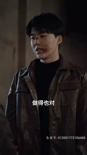 浴火重生（39集）免费在线看全集