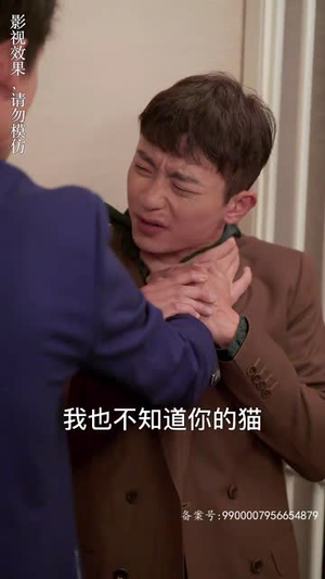 变成猫后我被死对头宠上天（86集）免费在线看