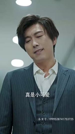 隐龙之护妻高手（100集）一起看短剧