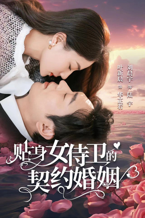 贴身女侍卫的契约婚姻（91集）经典回顾免费看