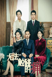 无法触碰的痛（80集）免费观看就是爽