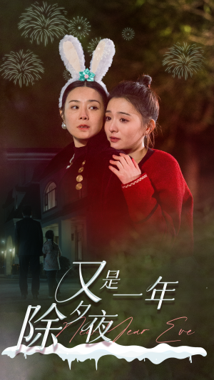 又是一年除夕夜（74集）观看软件
