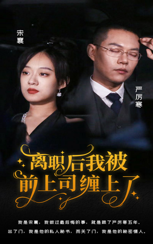 离职后，我被前上司缠上了（100集）爆款短剧推荐