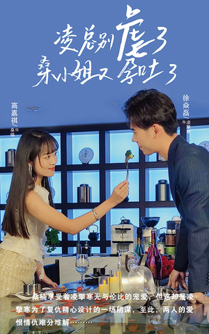 凌总别虐了桑小姐又吐了（102集）完整版