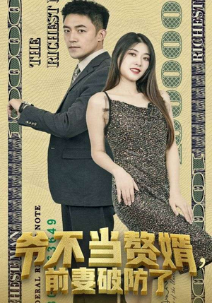 爷不当赘婿，前妻破防了（80集）精彩短剧合集