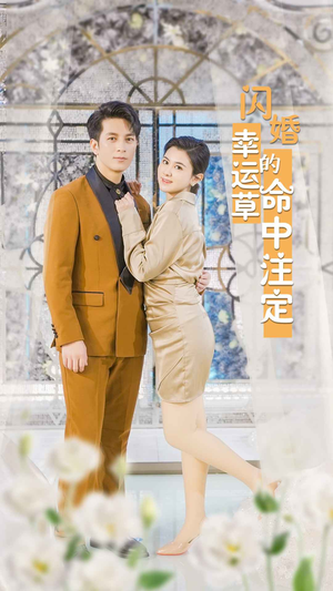 闪婚幸运草的命中注定（82集）最热短剧抢先看