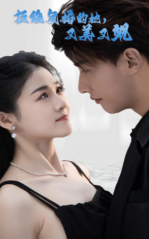 拒绝复婚的她，又美又飒（100集）免费观看完整版
