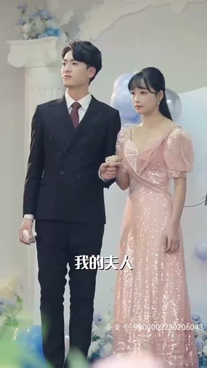 温柔掠夺（78集）全部免费看全集