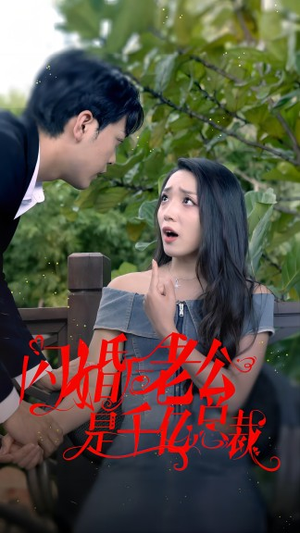 闪婚后老公是千亿总裁（90集）短剧前十排行榜