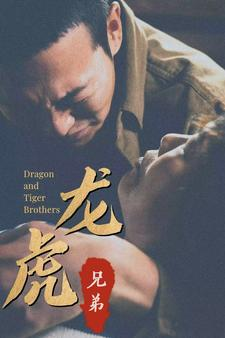 龙虎兄弟（80集）火爆热门短剧