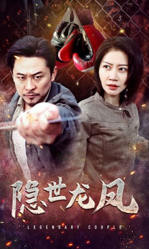 隐世龙凤（63集）经典老剧免费看