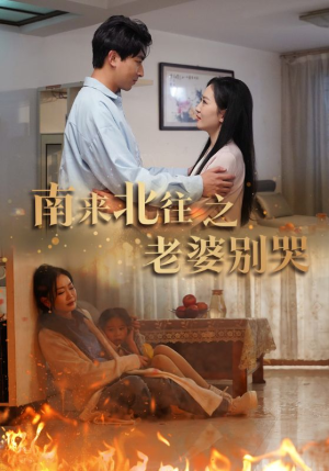 南来北往之老婆别哭（87集）演的怎么样