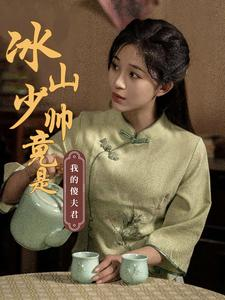 冰山少帅竟是我的傻夫君（86集）短剧追不停