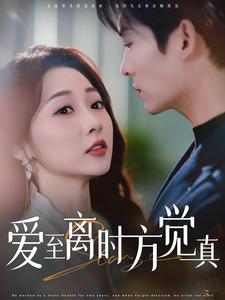 爱至离时方觉真（101集）好看短剧看不停