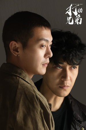 打拐兄弟（30集）全剧看到大结局