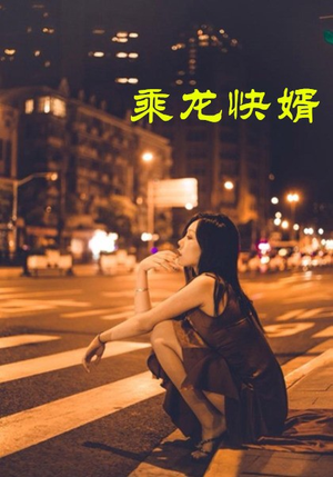 乘龙快婿（30集）流畅播放免费看