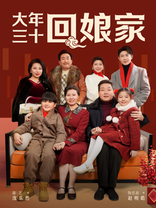 大年三十回娘家（30集）在线免费观看