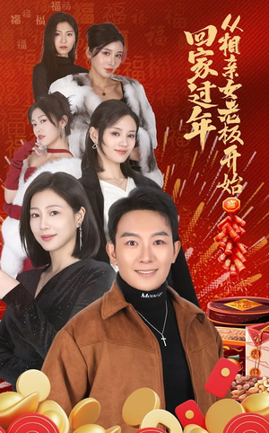 回家过年从相亲女老板开始（64集）短剧在哪个平台