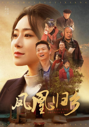 凤凰归乡（33集）完整版