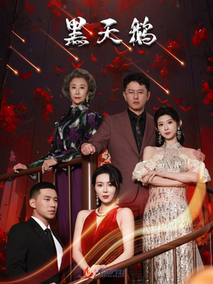 黑天鹅（51集）在哪个app能看