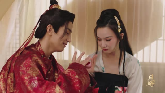 凤婿（28集）视频在线看