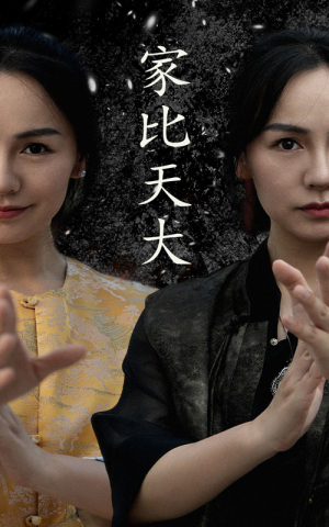 家比天大（63集）抢先看热门短剧