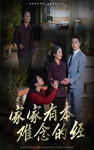 家家有本难念的经（34集）好看短剧分享