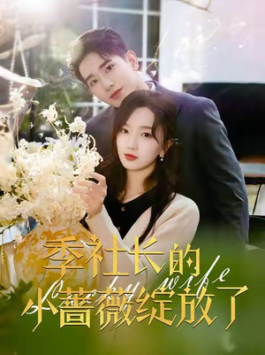 季社长的小蔷薇绽放了（60集）免费版