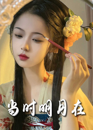 当时明月在（71集）精彩好看的短剧