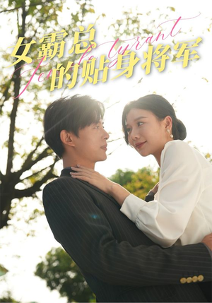 女霸总的贴身将军（80集）一口气追完短剧