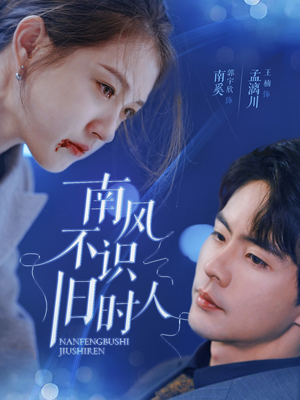 南风不识旧时人（63集）免费看短剧全集