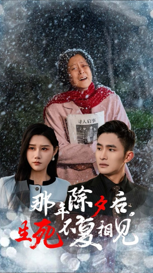那年除夕后生死不复相见（48集）全集我都看完了