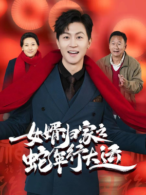 女婿归家之蛇年行大运（65集）看短剧放松一下
