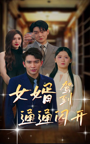 女婿驾到，通通闪开（34集）短剧