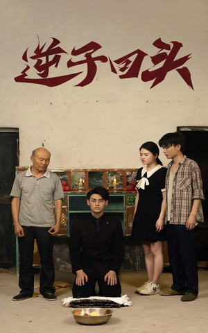 逆子回头（33集）免费在线看