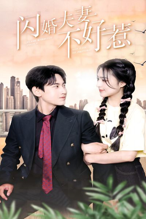 闪婚夫妻不好惹（90集）火爆热门短剧