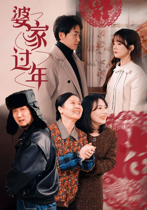 婆家过年（71集）在线免费观看