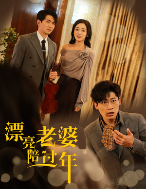 漂亮老婆陪过年（60集）视频在线看