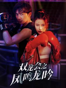 双龙会之凤鸣龙吟（80集）让你一口气看完