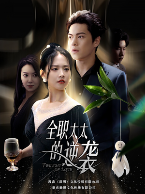 全职太太的逆袭（80集）好看短剧看不停